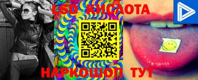 дмт Будённовск