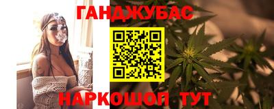 дмт Будённовск